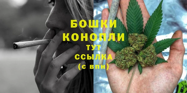 прущие крисы Билибино